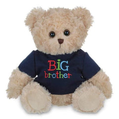 Buddy Big Brother Plush Teddy Bear