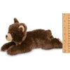 Lil' Cubbie Small Plush Brown Grizzly Bear