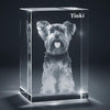 Tower Cuboid Full Body 3D Photo Crystal