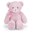 Baby's First Bear Plush Stuffed Animal 18" Pink Teddy