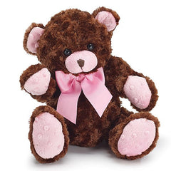 Brown & Pink Plush Teddy Bear