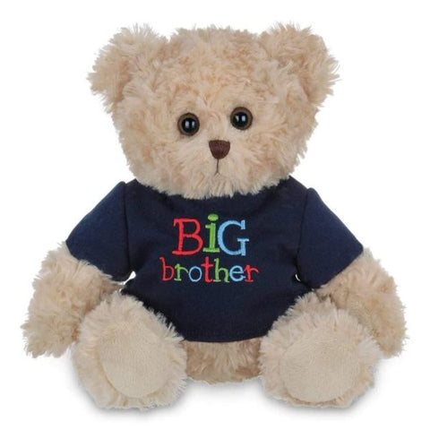 Picture of Buddy Big Brother Plush Teddy Bear