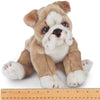 Bulldog Tug Plush Stuffed Animal Puppy Dog