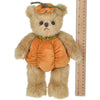 Halloween Thanksgiving Plush Stuffed Teddy Bear Izzy A. Pumpkin