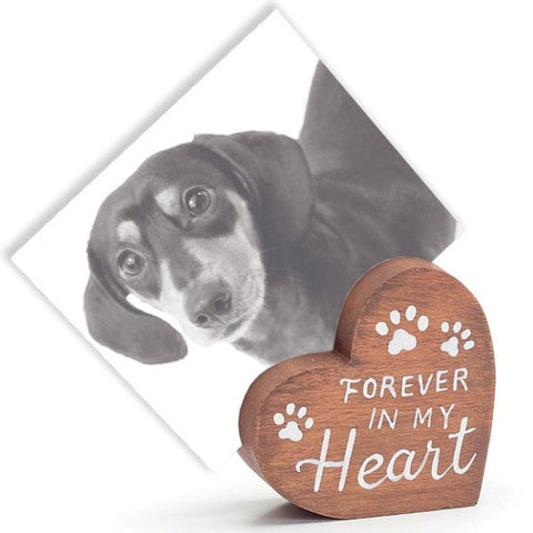 Picture of Heart Pet Photo Holders - Pack of 12