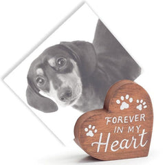 Heart Pet Photo Holders - Pack of 12