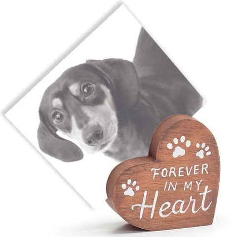 Picture of Heart Pet Photo Holders - 4 Pack