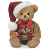 Holden Presents Christmas Teddy Bear in Santa Hat