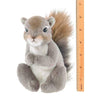 Plush Stuffed Animal Squirrel Lil' Peanut