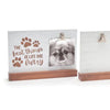 Pet Clip Photo Frame Assortment - Pack of 3 Sets