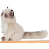 Plush Stuffed Animal Himalayan Cat Tasha