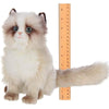 Plush Stuffed Animal Himalayan Cat Tasha