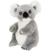 Plush Stuffed Animal Koala Bear Joey