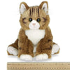 Plush Stuffed Animal Maine Coon Cat Manny
