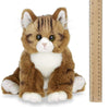 Plush Stuffed Animal Maine Coon Cat Manny