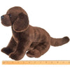 Plush Stuffed Animal Puppy Dog Chocolate Lab Brody