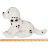 Plush Stuffed Animal Puppy Dog Dalmatian Diggs