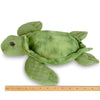 Plush Stuffed Animal Sea Turtle Shelton