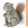 Plush Stuffed Animal Squirrel Peanut