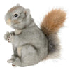 Plush Stuffed Animal Squirrel Peanut