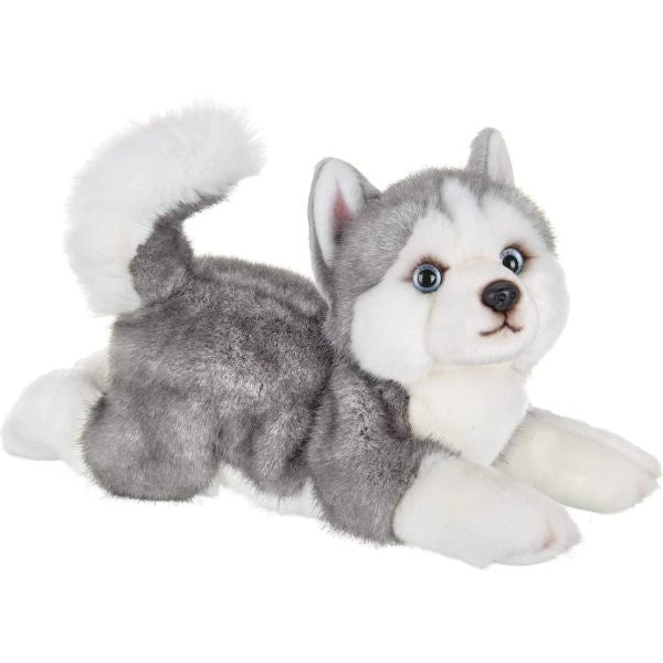 Husky peluche online grande
