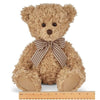 Theodore Brown Plush Teddy Bear