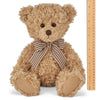 Theodore Brown Plush Teddy Bear