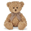 Theodore Brown Plush Teddy Bear