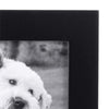 Woof Expressions Picture Frame